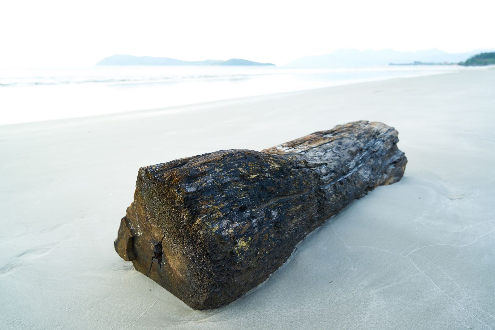 Sony a7R II sample photo. Billet, tree, marine photography