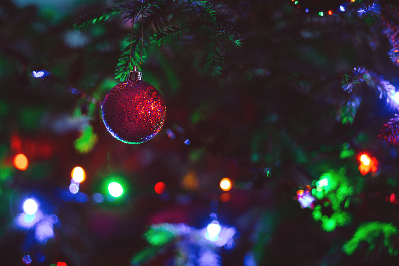 Canon EF 85mm F1.8 USM sample photo. Close, up, of, christmas photography