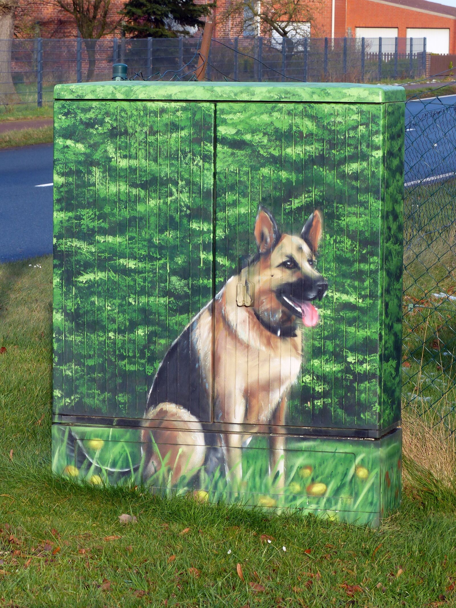 Panasonic Lumix DMC-FZ200 sample photo. Phone case, airbrush, dog photography