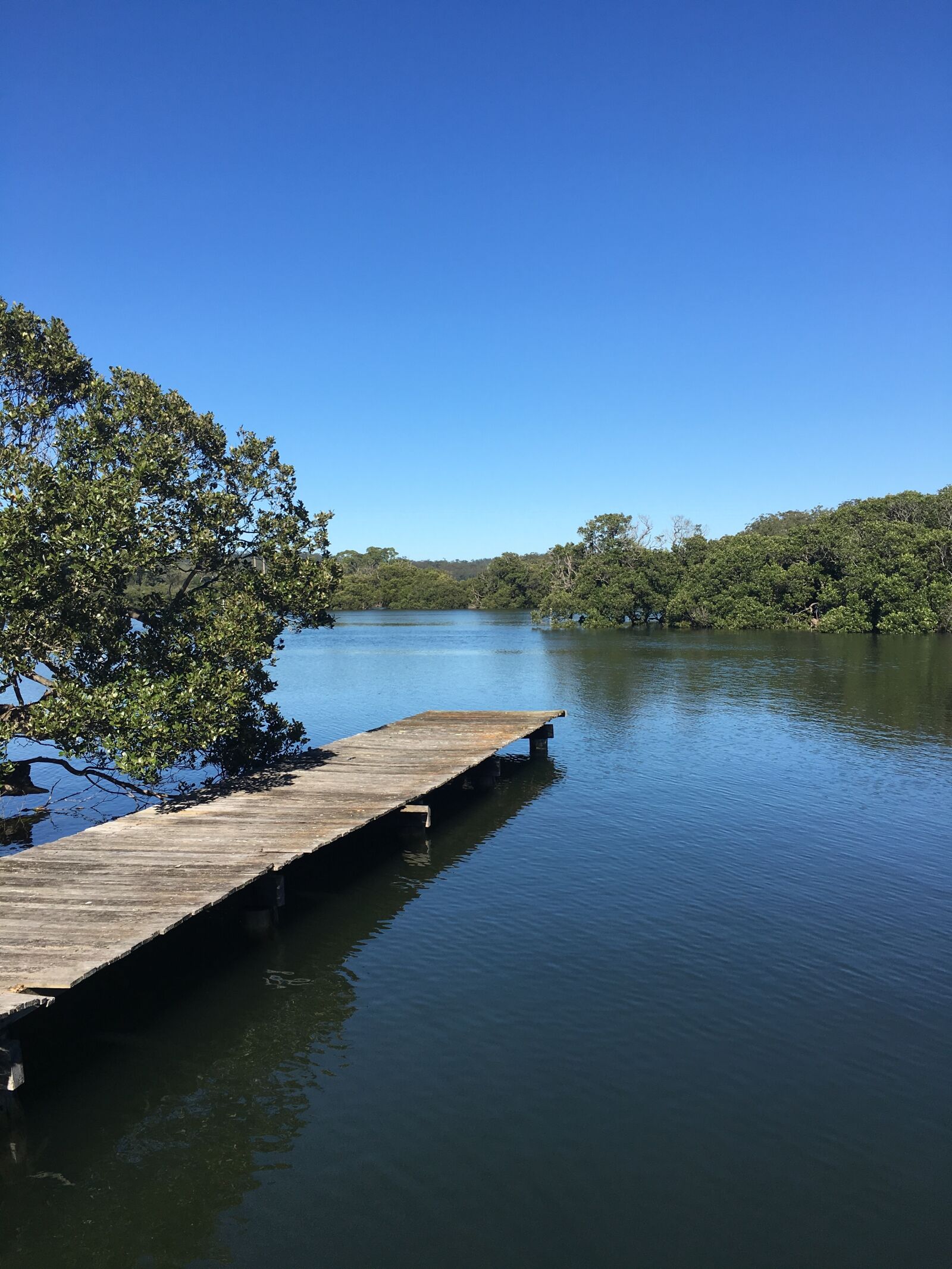 Apple iPhone 6s sample photo. Riverview, blue sky, pier photography