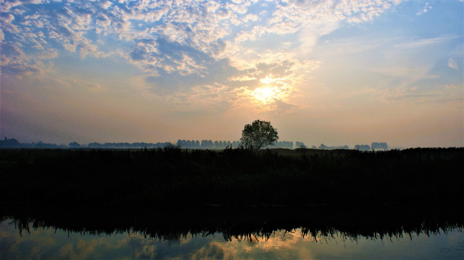 Sony Alpha DSLR-A350 sample photo. Morning, tree, horizon photography