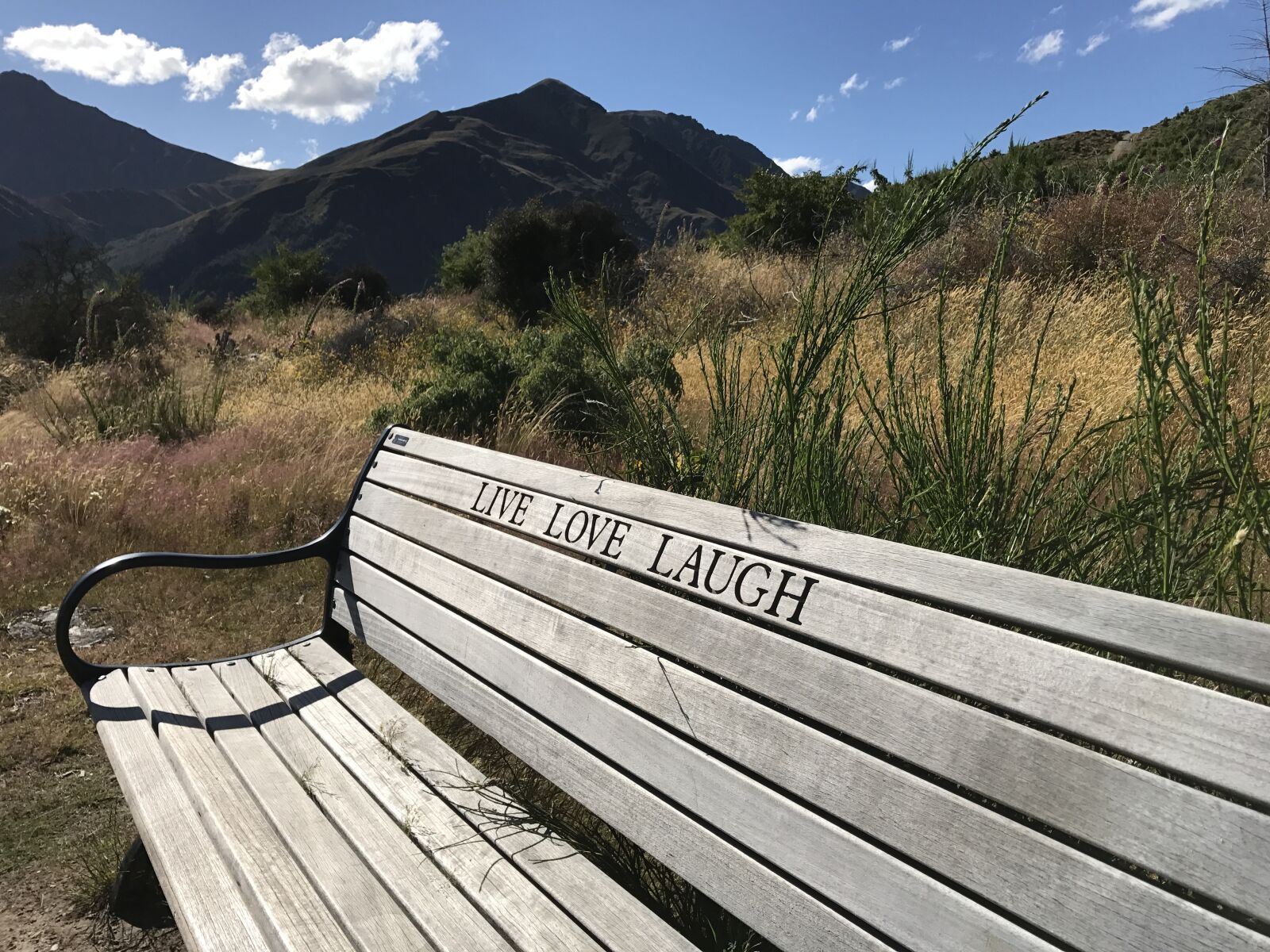 iPhone 7 Plus back dual camera 3.99mm f/1.8 sample photo. New zealand, queenstown, the photography