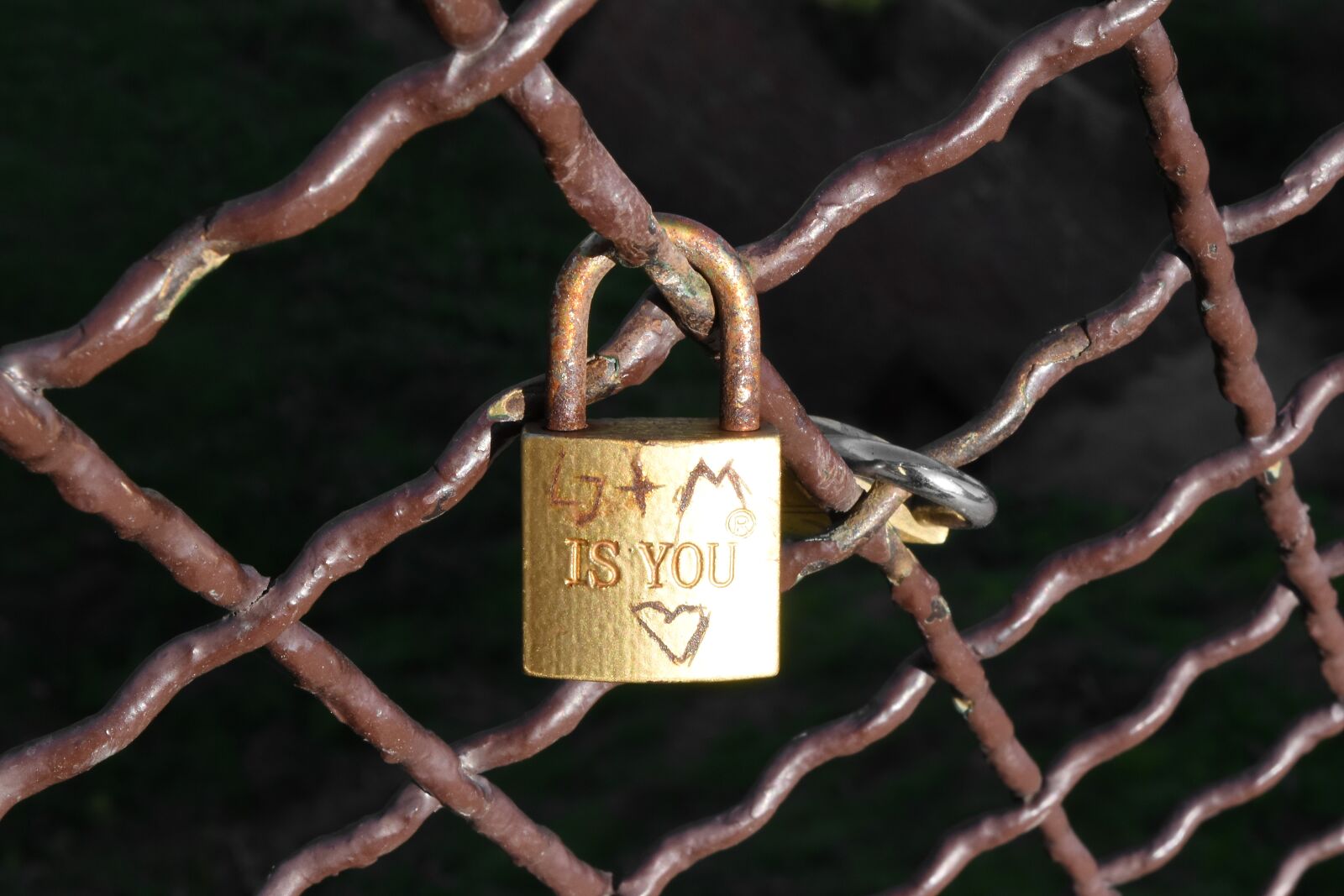 Nikon D5500 sample photo. Rust, device, lock, fastener photography
