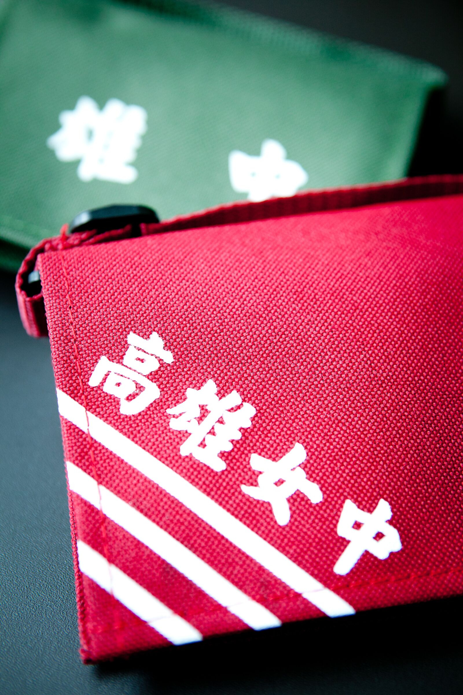 Canon EF 24-70mm F2.8L USM sample photo. Schoolbag, attend class, school photography