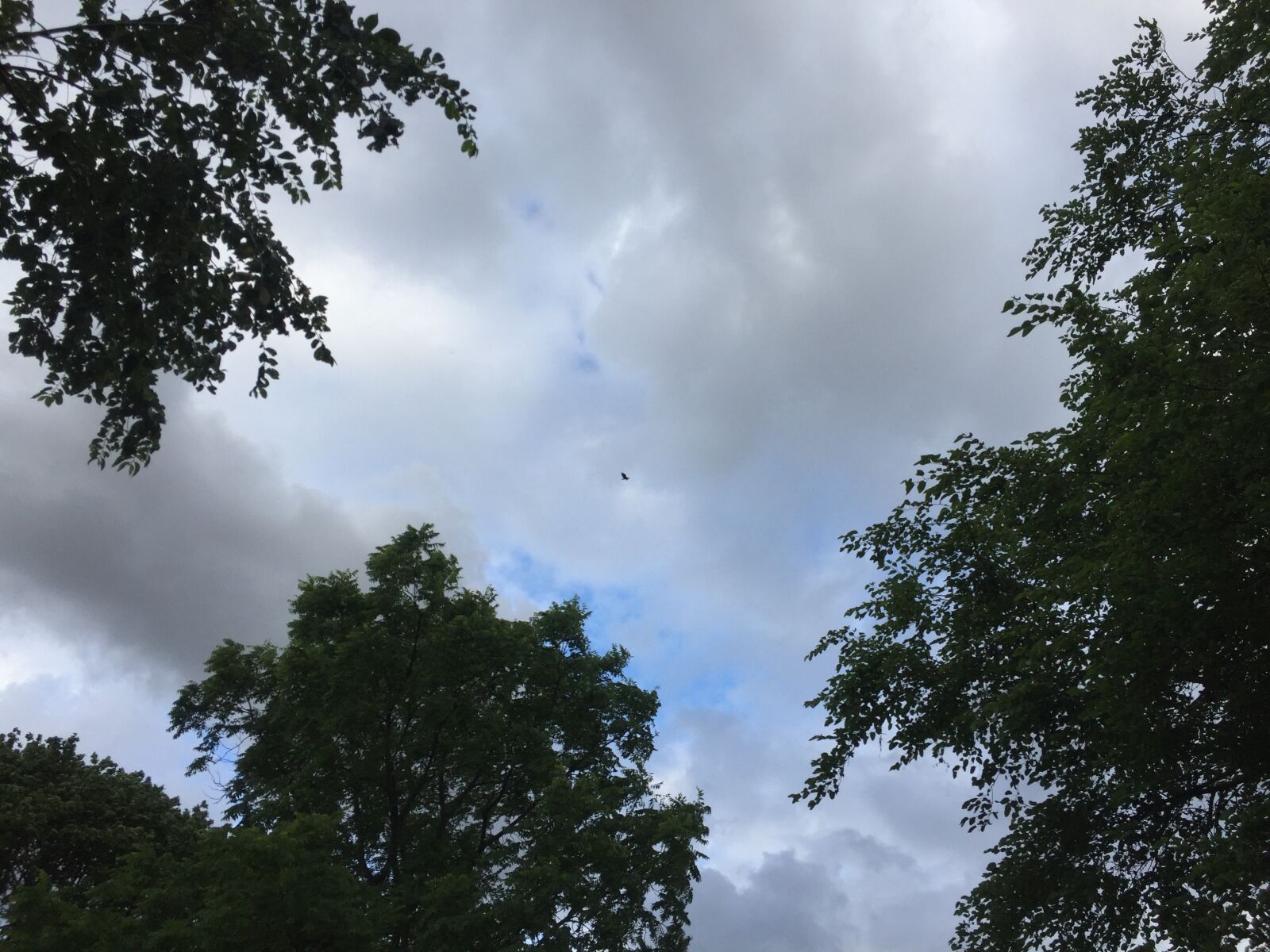 iPhone 6 back camera 4.15mm f/2.2 sample photo. Cloudy, sky photography