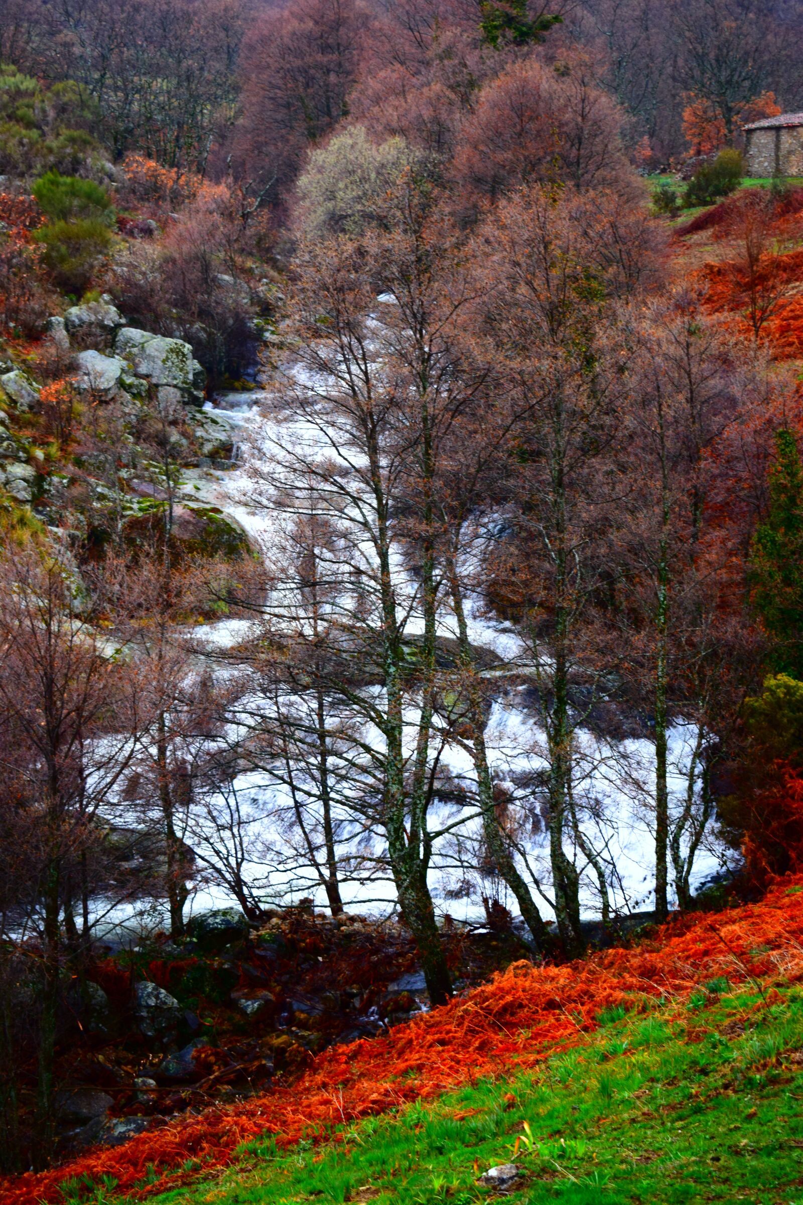 Nikon D3300 sample photo. Nature, throat natural, landscape photography