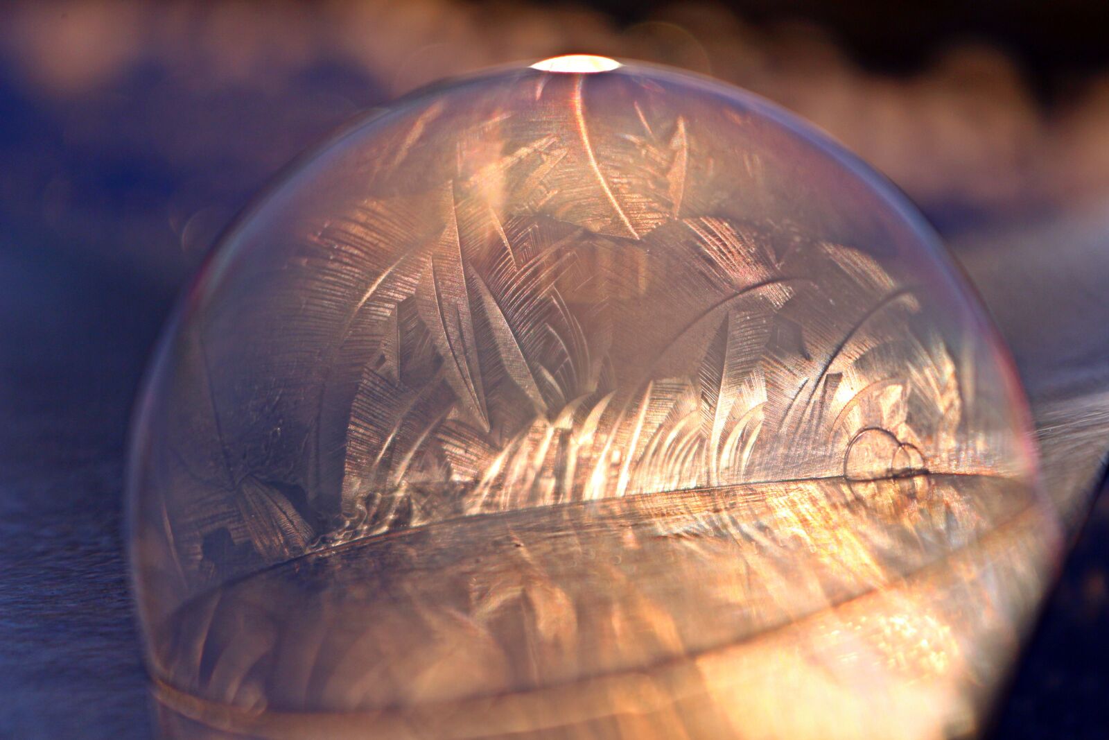 Canon EOS 100D (EOS Rebel SL1 / EOS Kiss X7) sample photo. Soap bubble, frost bubble photography
