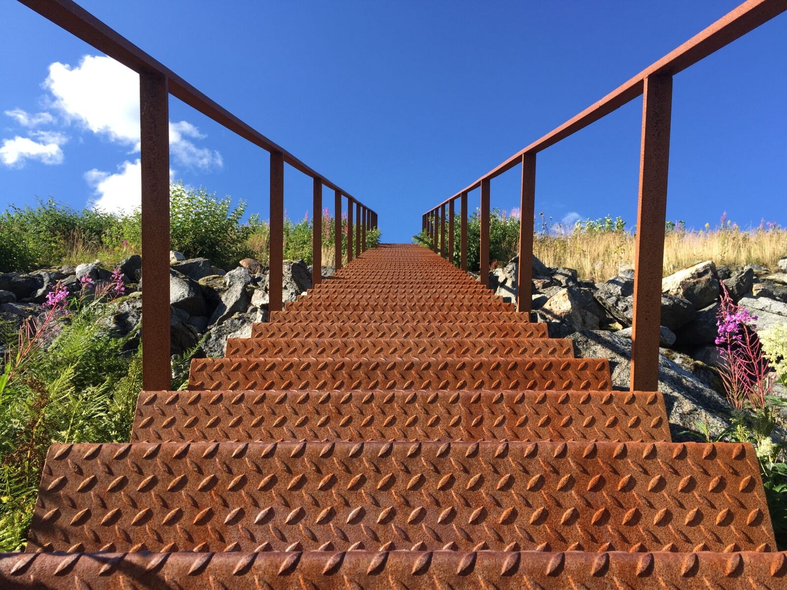 iPhone 6 Plus back camera 4.15mm f/2.2 sample photo. Norway, nature, summer photography