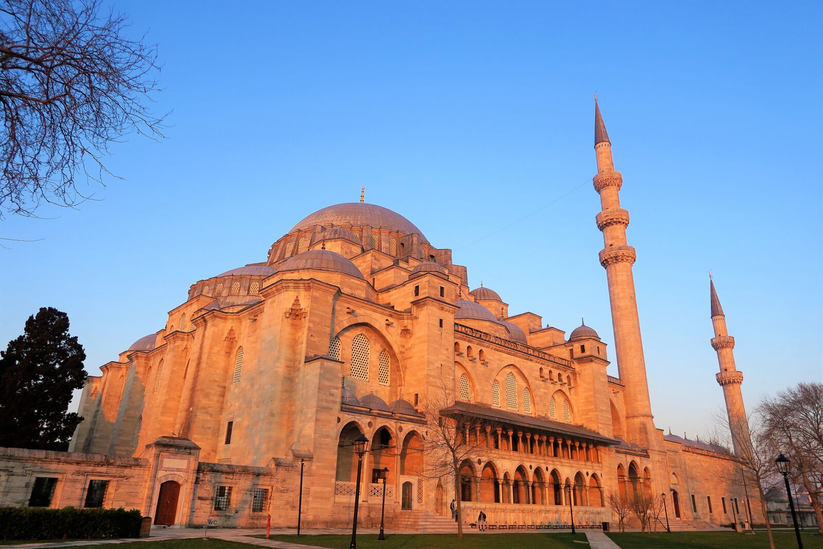 Canon PowerShot G7 X sample photo. Cami, minaret, dome photography