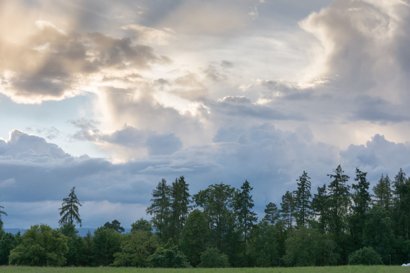 Nikon D7200 sample photo. Clouds, landscape, trees photography