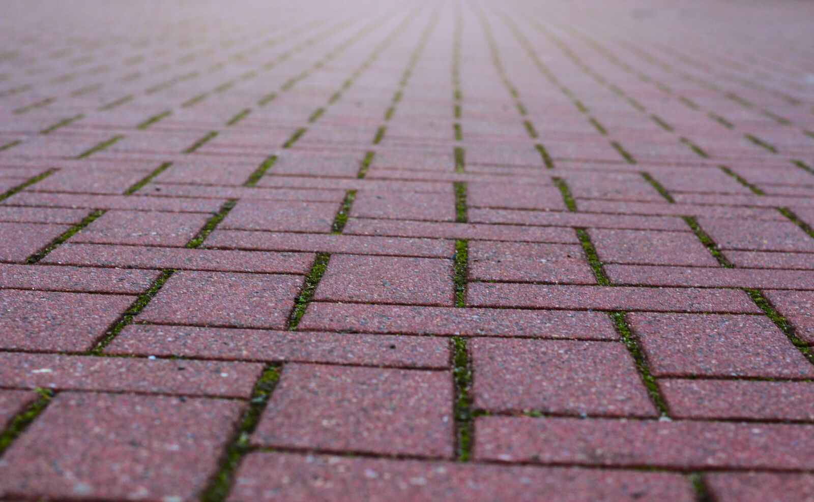 Canon EOS 700D (EOS Rebel T5i / EOS Kiss X7i) + Canon EF 50mm F1.8 STM sample photo. Road, stones, ground photography