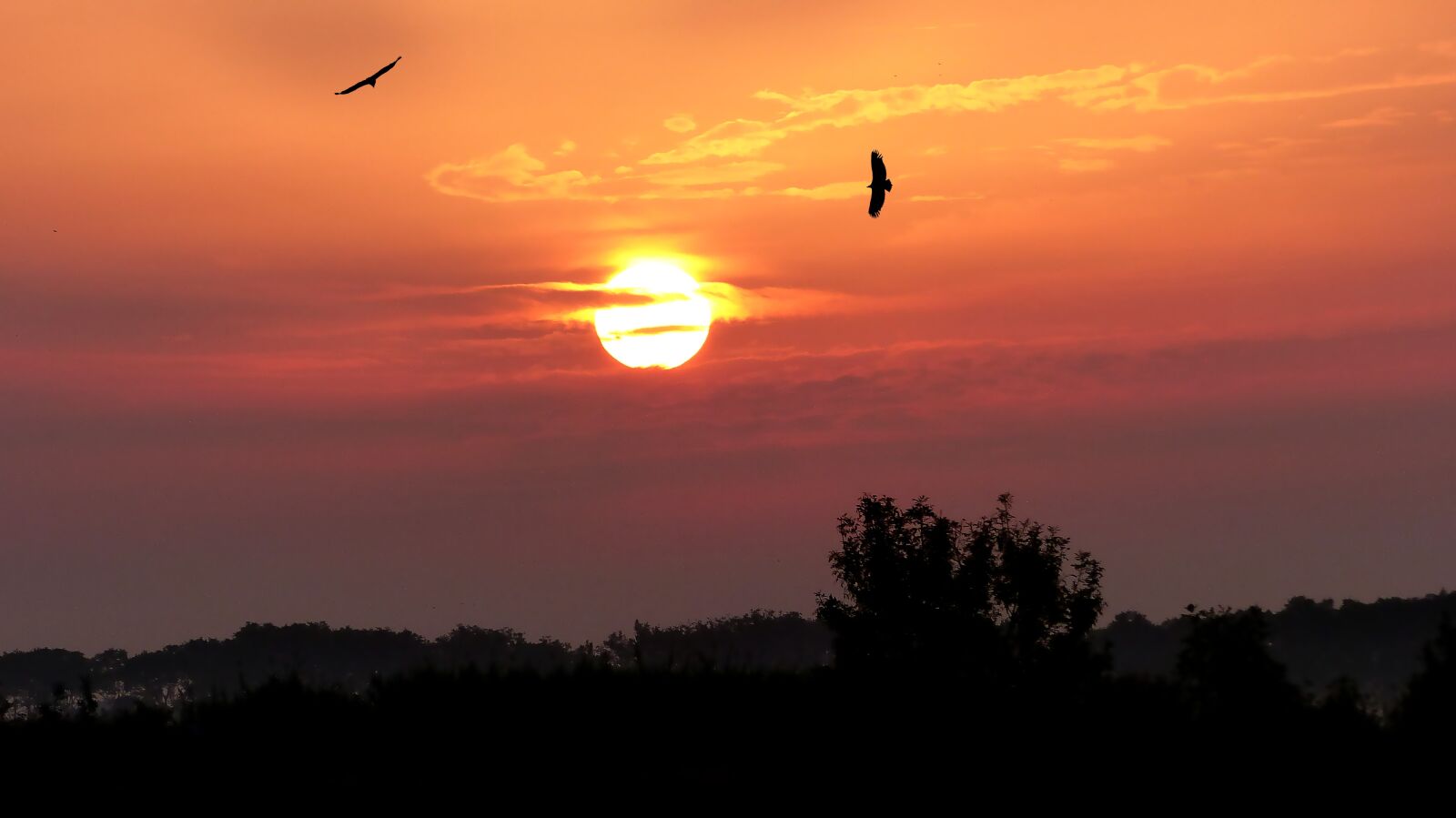 Panasonic Lumix DMC-FZ200 sample photo. Sunrise, nature, landscape photography