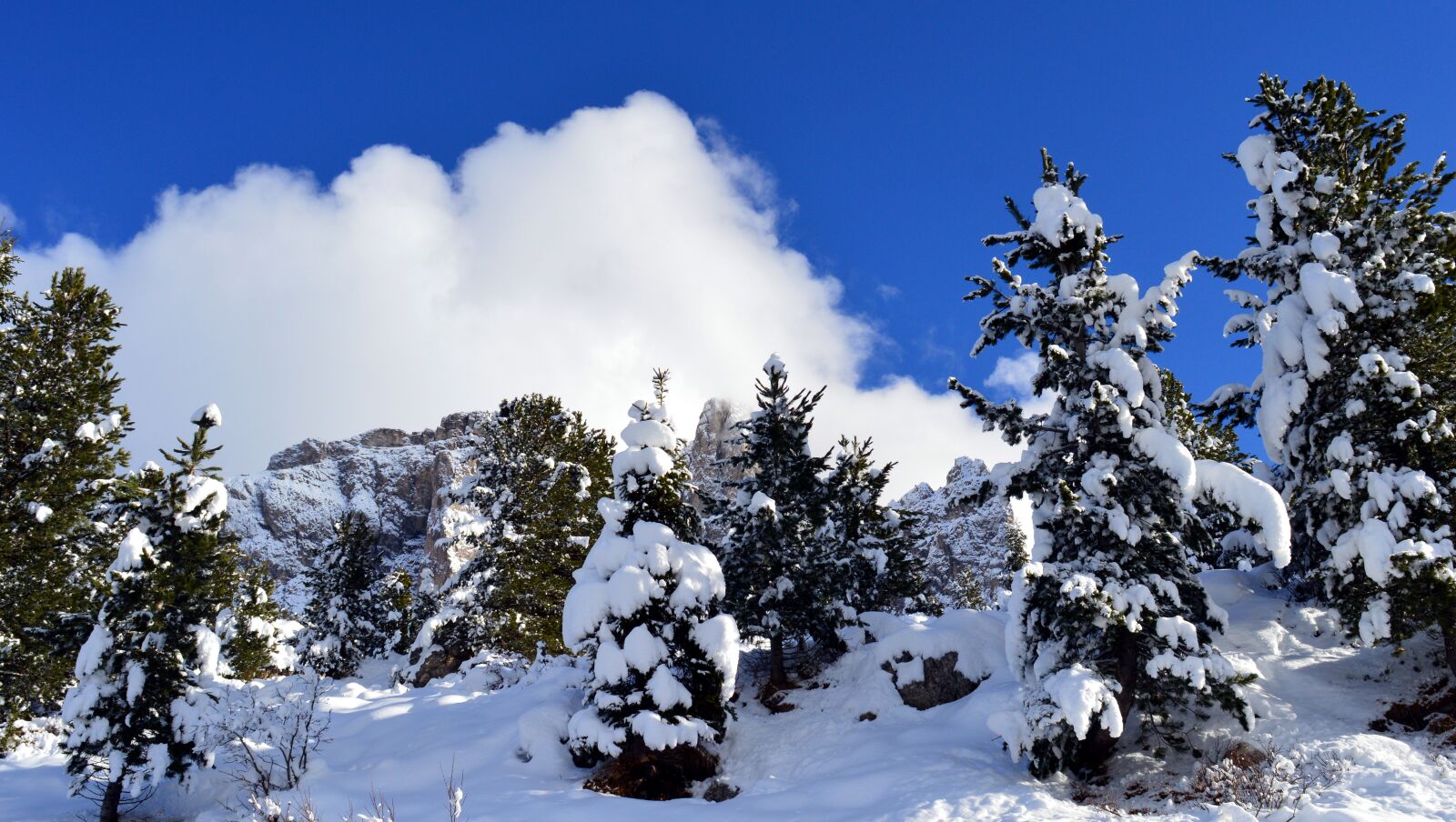 Nikon D3200 sample photo. Mountains, alpine, nature photography