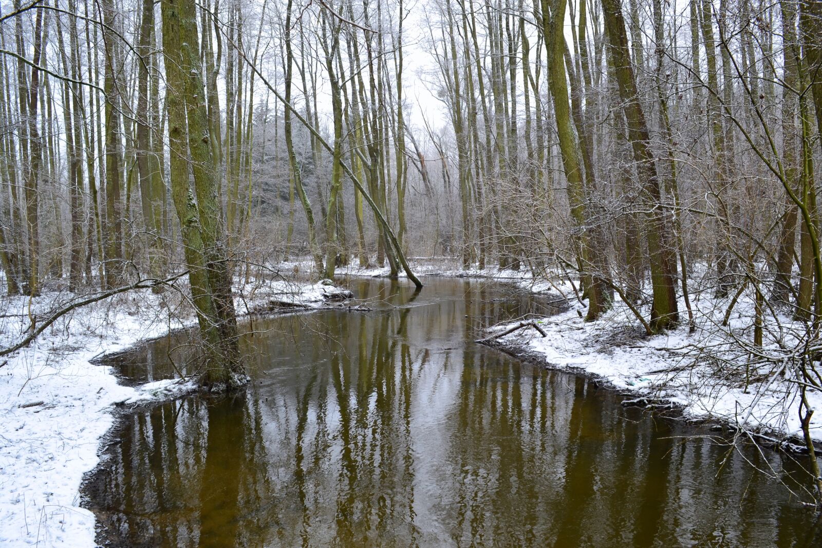 Nikon D3100 sample photo. River, winter, snow photography