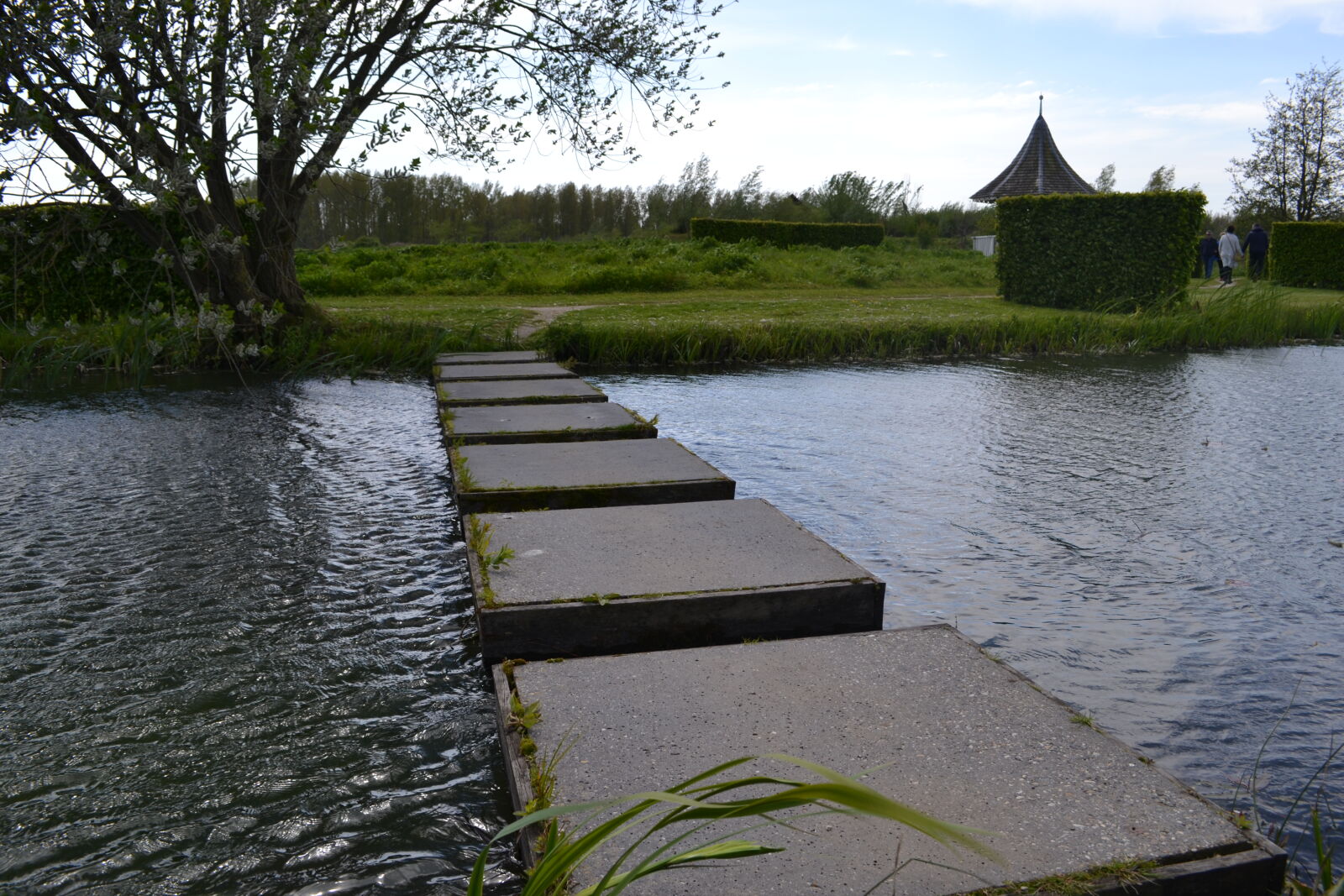 Nikon D3100 sample photo. Mevrouw, s, mylifewiths, path photography