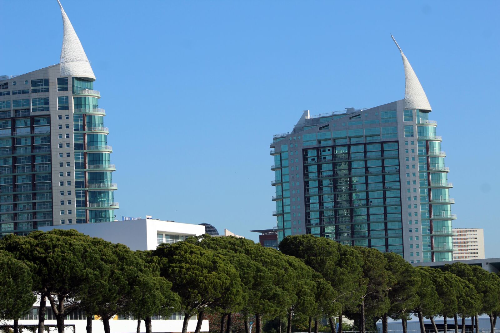 Canon EF75-300mm f/4-5.6 sample photo. Trees, lisbon, portugal photography