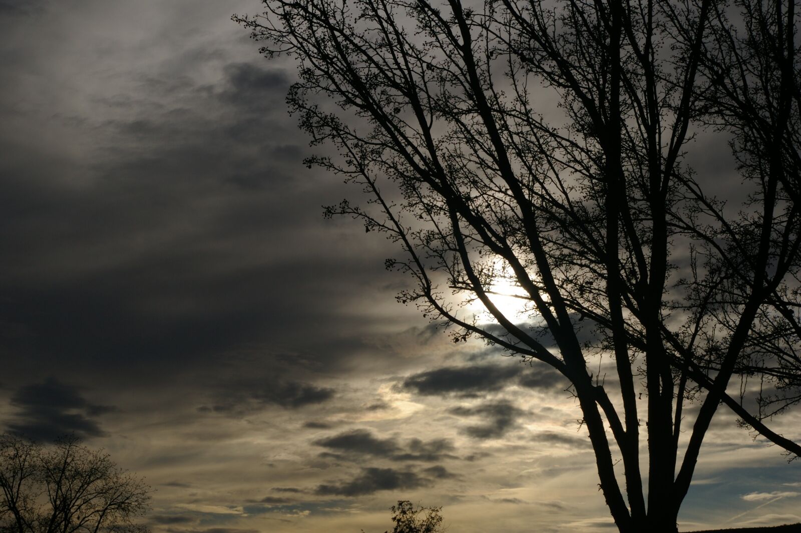 Pentax K100D Super sample photo. Sunset, clouds, tree photography