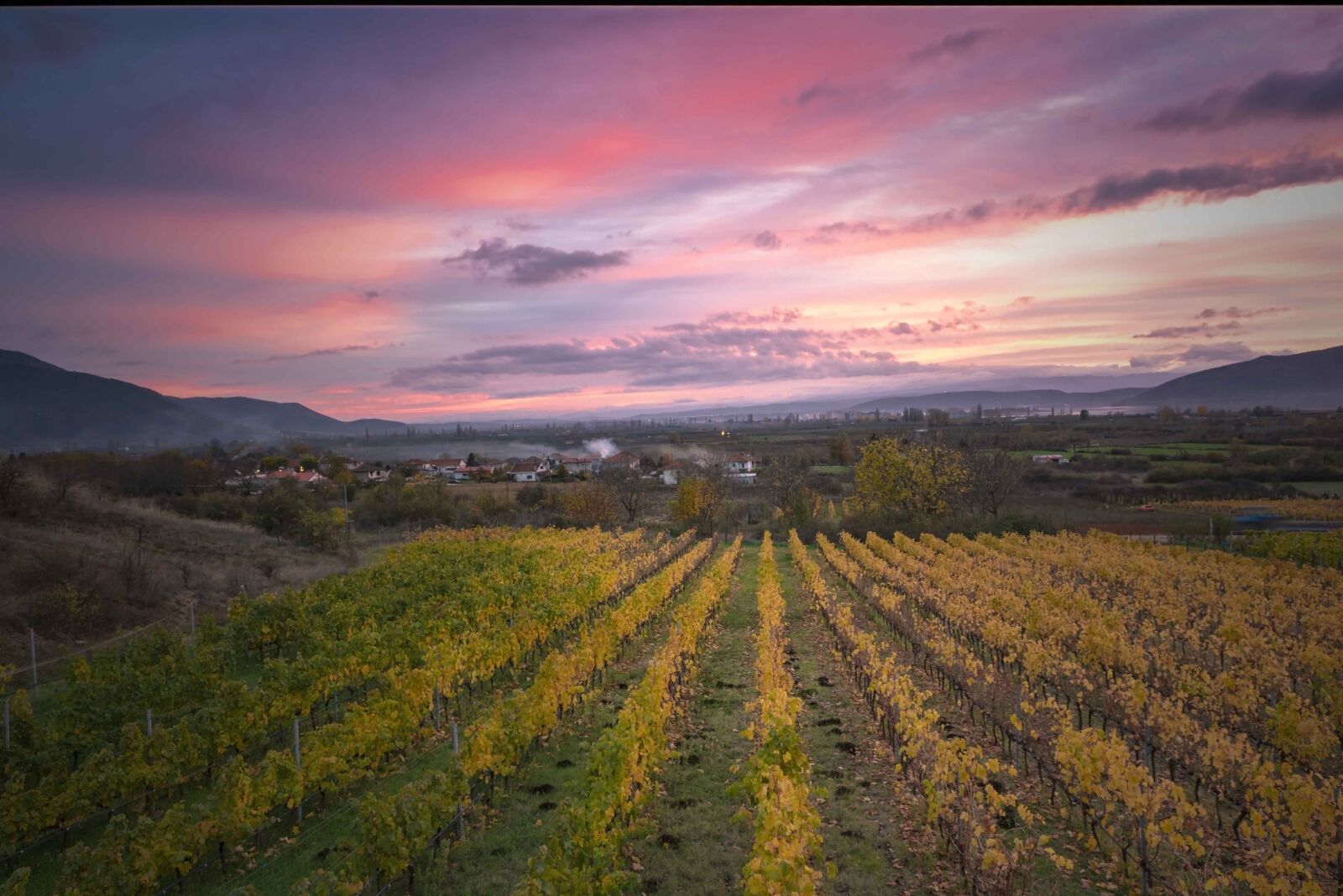 Tamron SP 24-70mm F2.8 Di VC USD sample photo. Sunset, vineyard, landscape photography