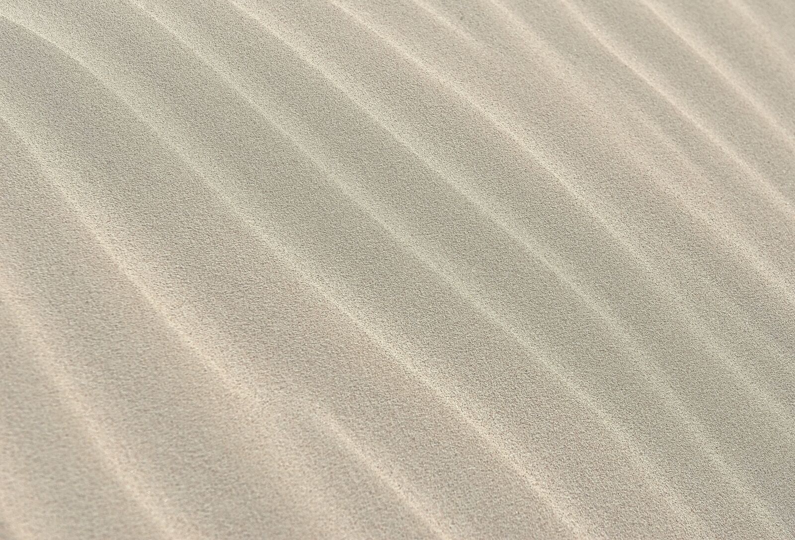 Nikon D800 sample photo. Sand, pattern, wave photography