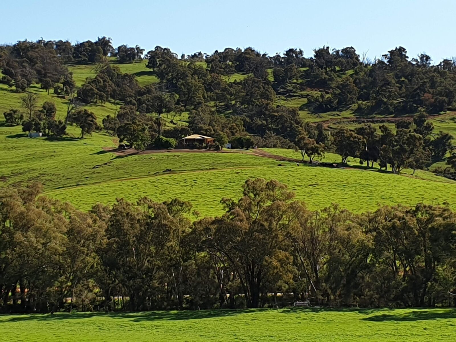 Samsung Galaxy S9 sample photo. Australia, perth hills, western photography