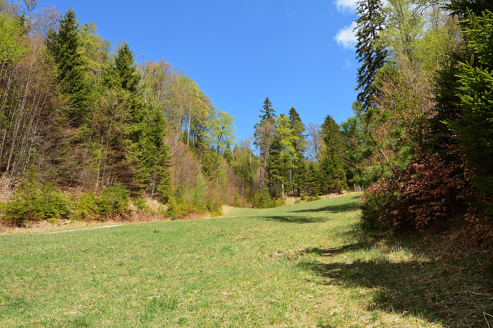 Nikon D3200 sample photo. Under the mountain, mountain photography