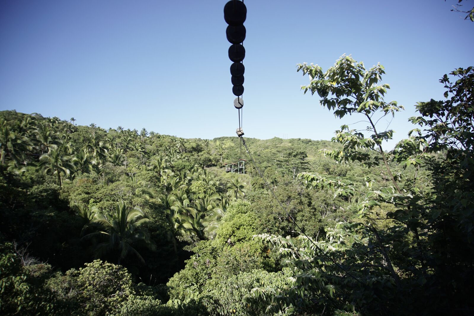 Sony E 16-50mm F3.5-5.6 PZ OSS sample photo. Zipline, heights, greens photography
