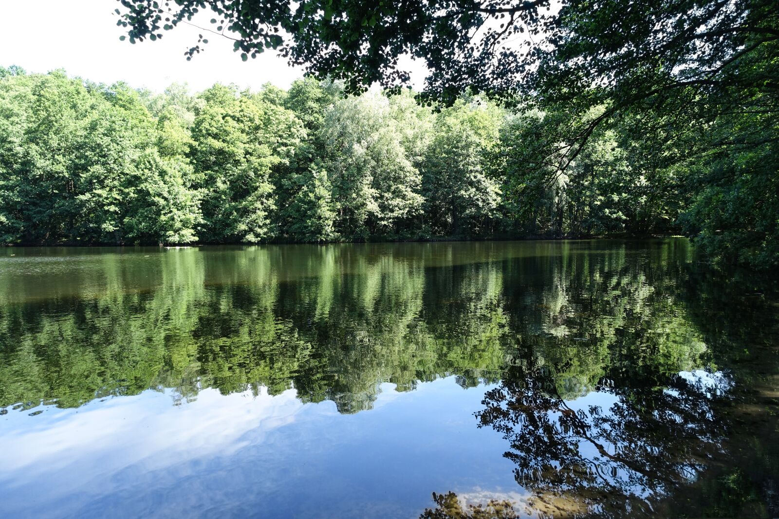 Sony Cyber-shot DSC-RX100 III sample photo. Lake, tree, forest photography