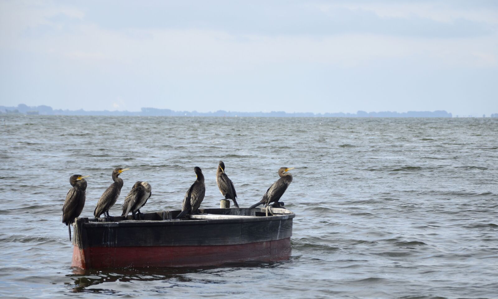 Nikon D3200 sample photo. Baltic sea, sea, boat photography