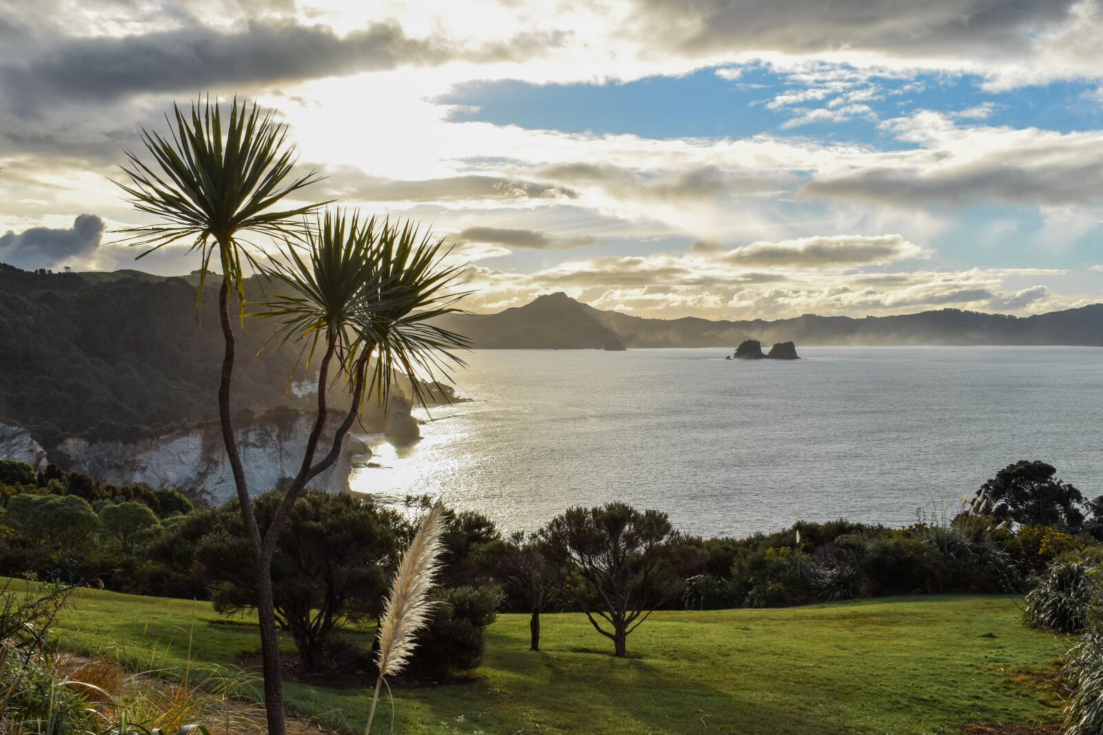 Nikon D5600 sample photo. New zealand, north island photography