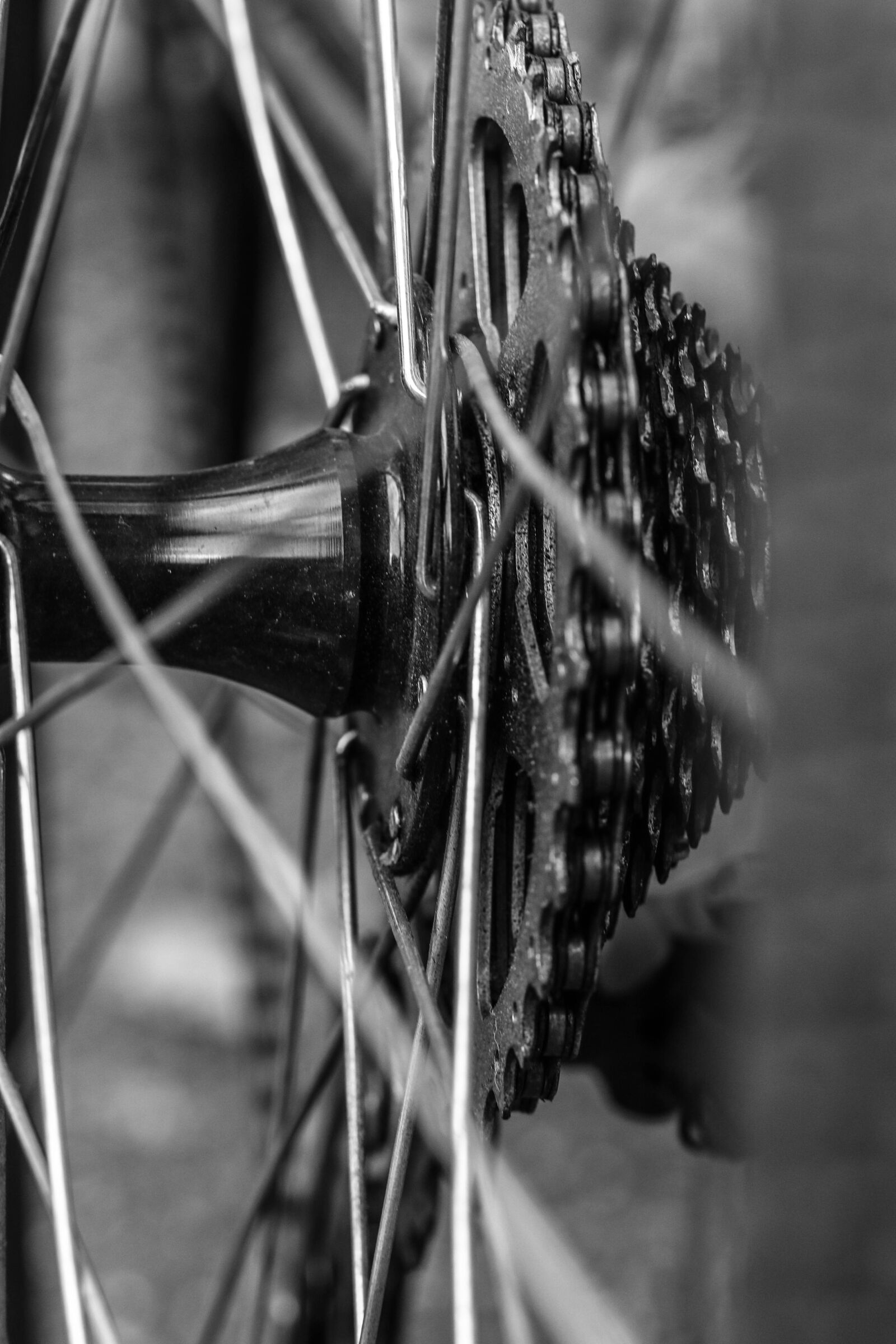 Canon EOS 7D Mark II sample photo. Wheel, bike, bicycle photography