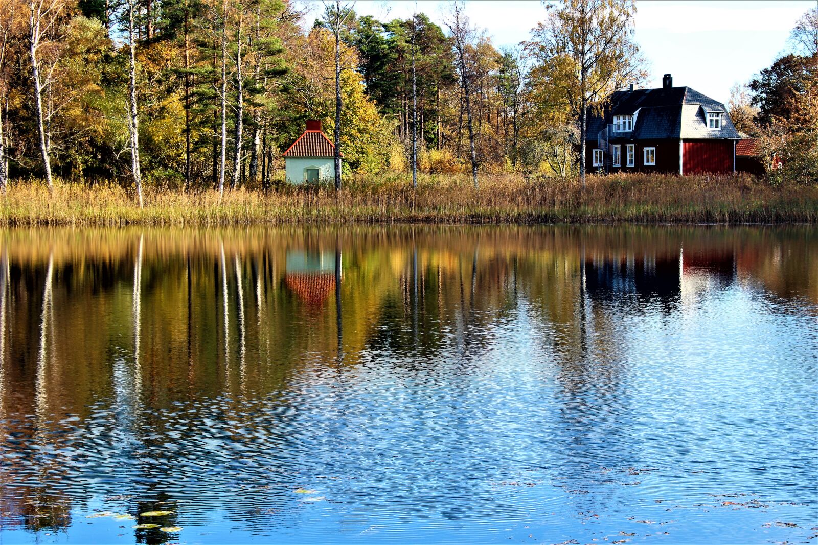 Canon EOS 700D (EOS Rebel T5i / EOS Kiss X7i) sample photo. Lake, nature, water photography