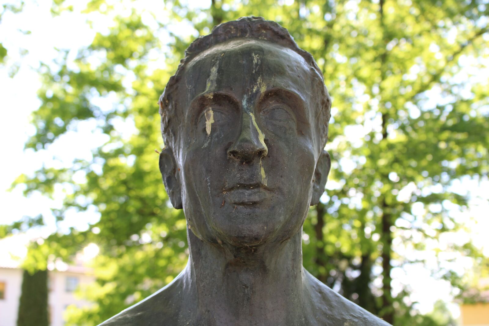 Canon EOS 700D (EOS Rebel T5i / EOS Kiss X7i) sample photo. Nature, tree, sculpture photography