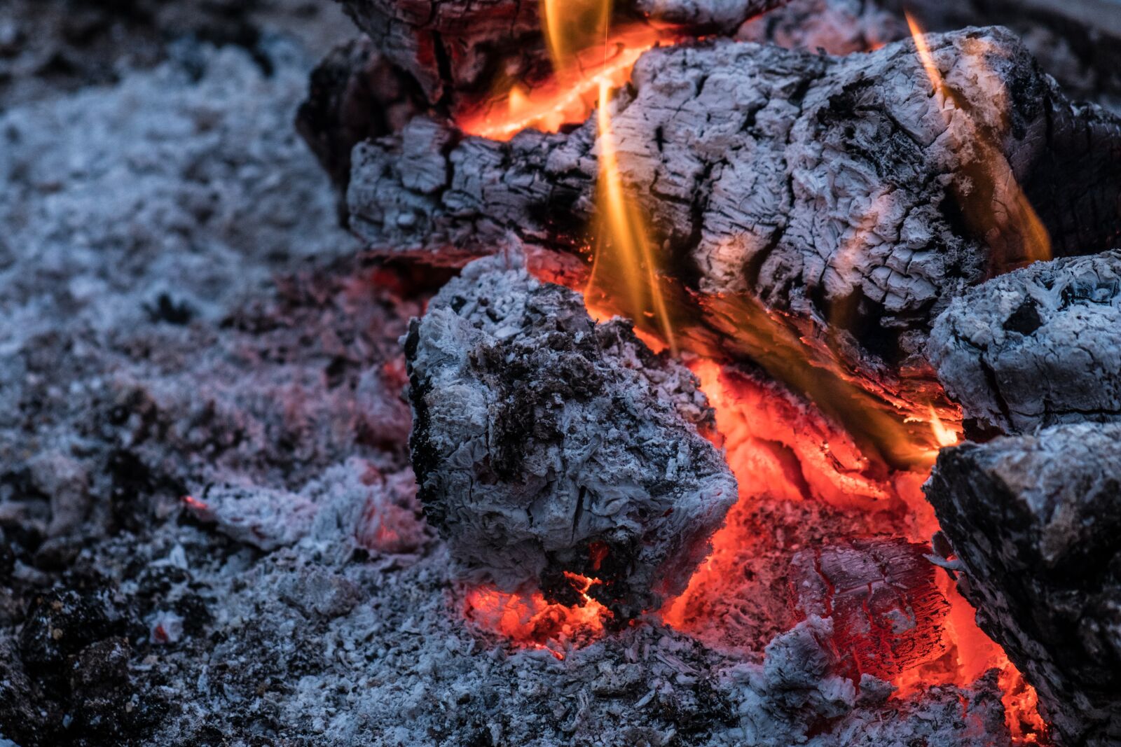Fujifilm XF 18-55mm F2.8-4 R LM OIS sample photo. Fire, espeto, barbecue photography