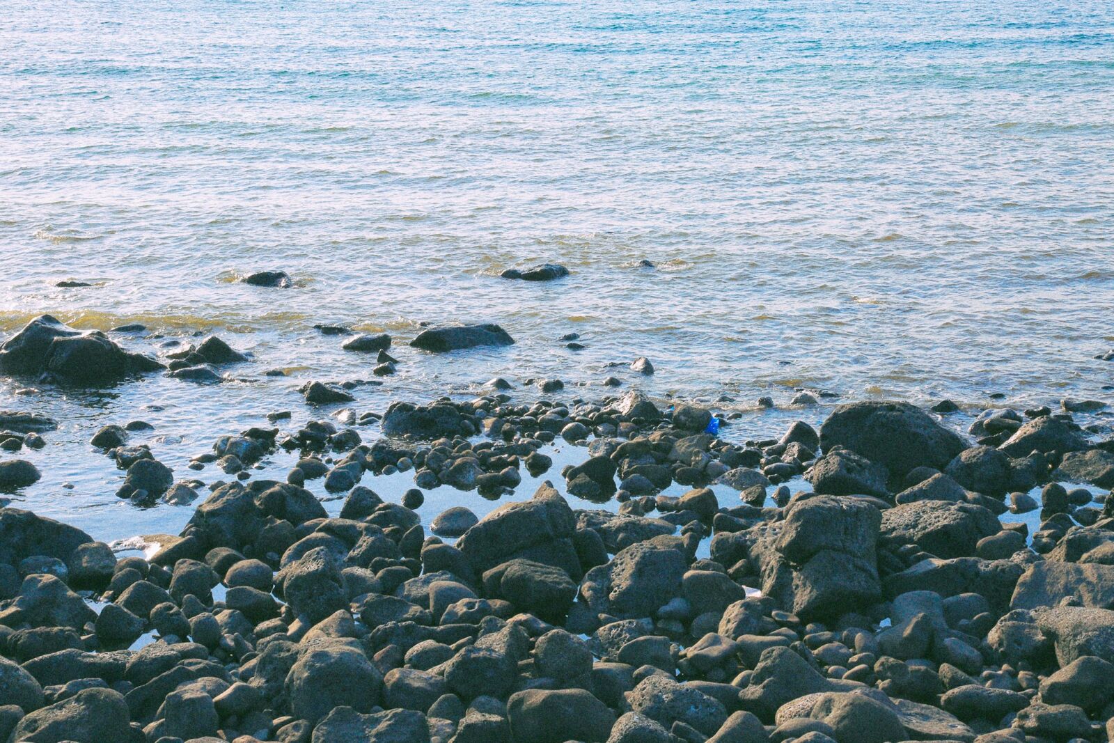 Canon EF 24-105mm F4L IS USM sample photo. Jeju, jejudo, jeju island photography