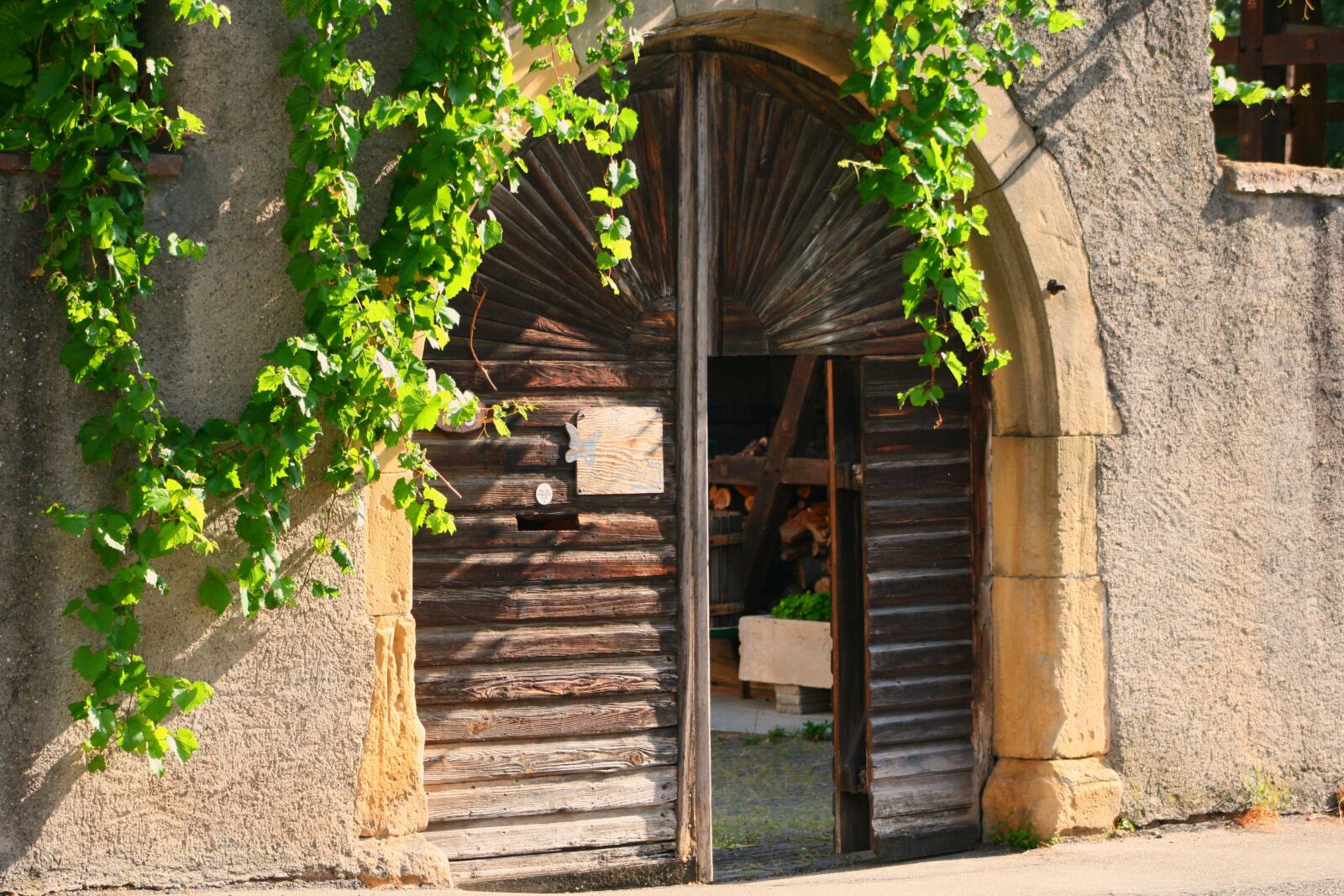 Canon EOS 400D (EOS Digital Rebel XTi / EOS Kiss Digital X) sample photo. Alsace, goal, historic center photography