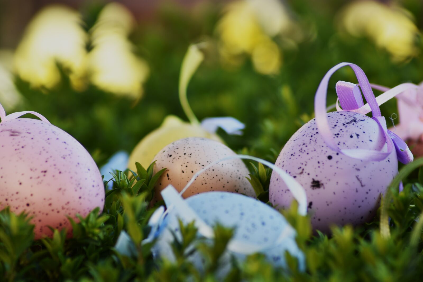 Nikon D3400 sample photo. Easter, egg, color photography