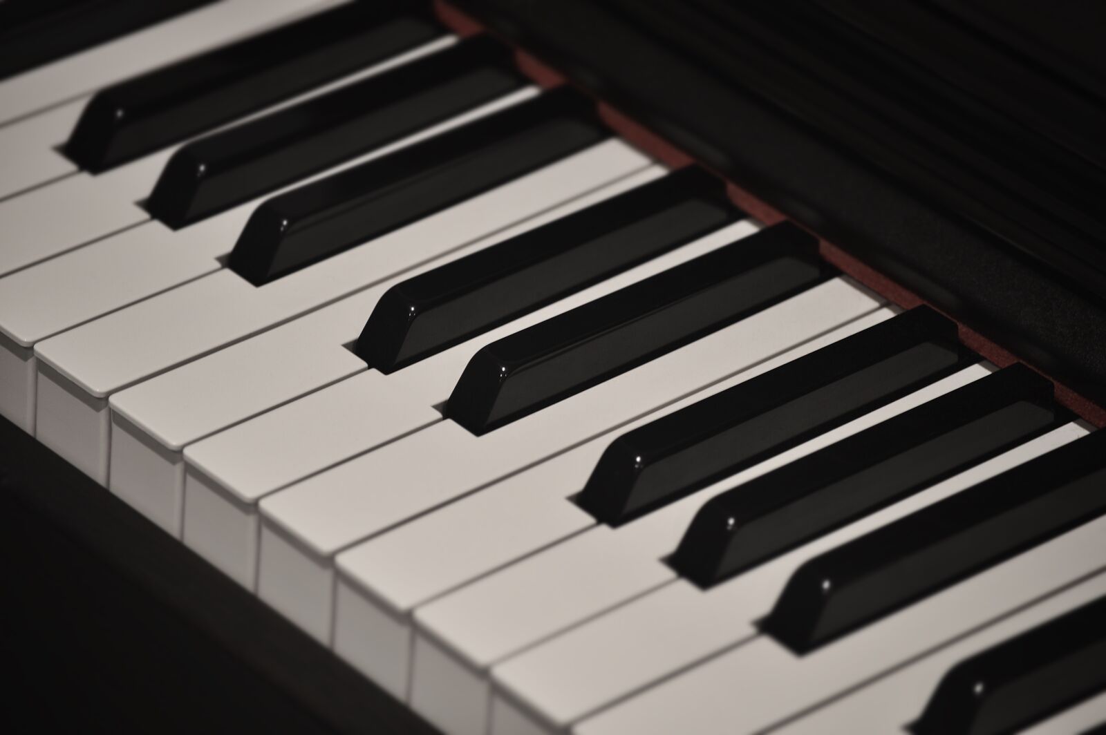 Nikon D3200 sample photo. Piano, ivory, ebony photography