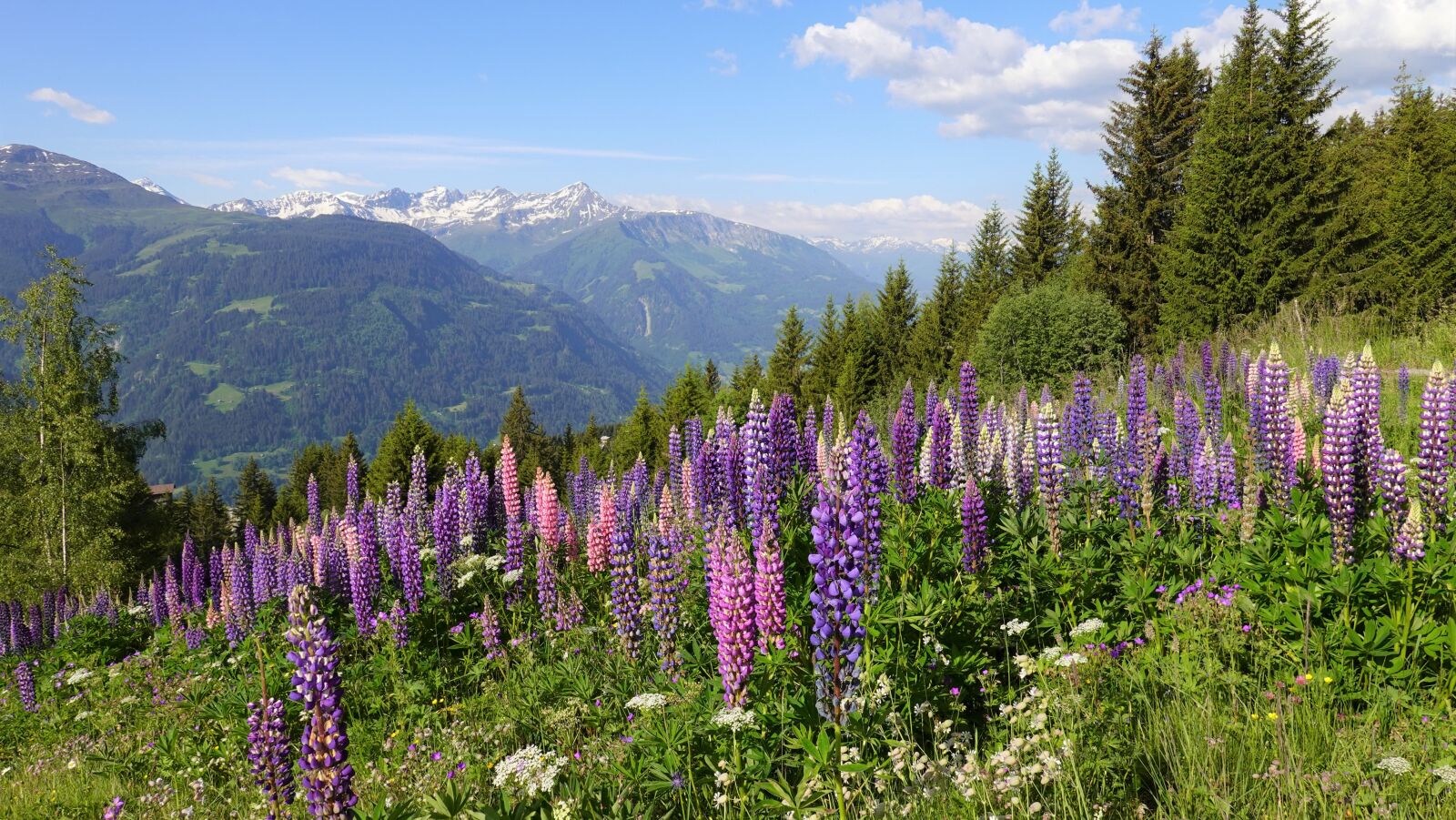 Sony DSC-RX100M7 sample photo. Mountain landscape, surselva, graub photography