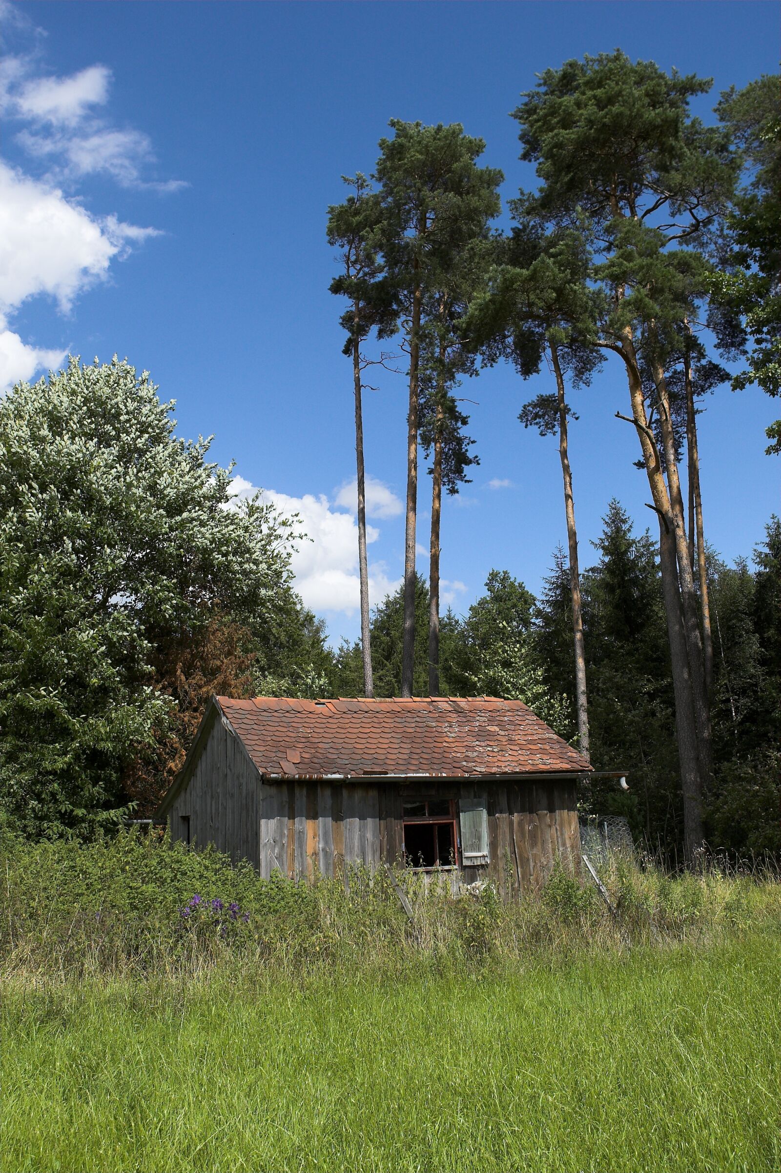 Canon EOS-1D Mark II sample photo. Left house, haunted house photography