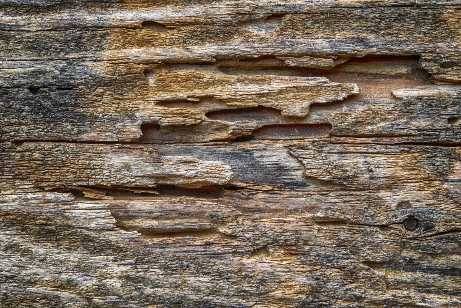 Nikon D3300 sample photo. Wood, texture, old photography