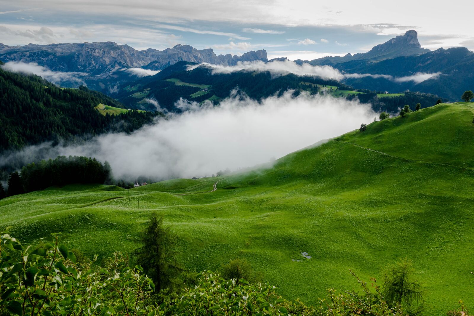 Sony Cyber-shot DSC-RX100 IV sample photo. Nature, landscape, panorama photography