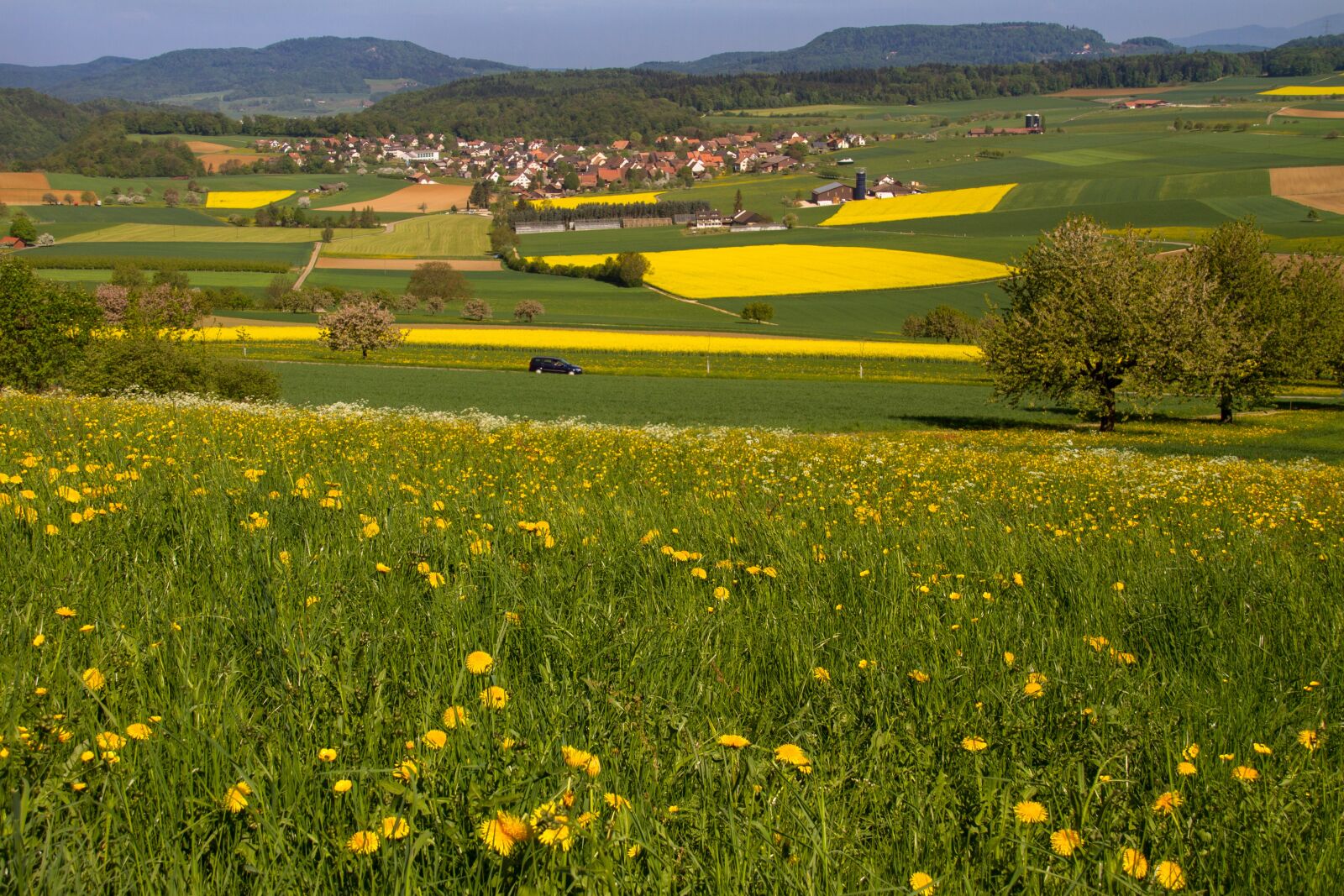 Canon EOS 7D sample photo. Fields, reported, oilseed rape photography