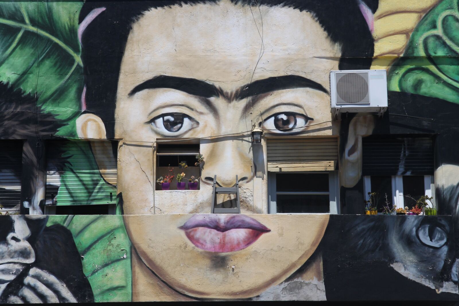 Canon EOS 500D (EOS Rebel T1i / EOS Kiss X3) sample photo. Frida kahlo, art, mural photography