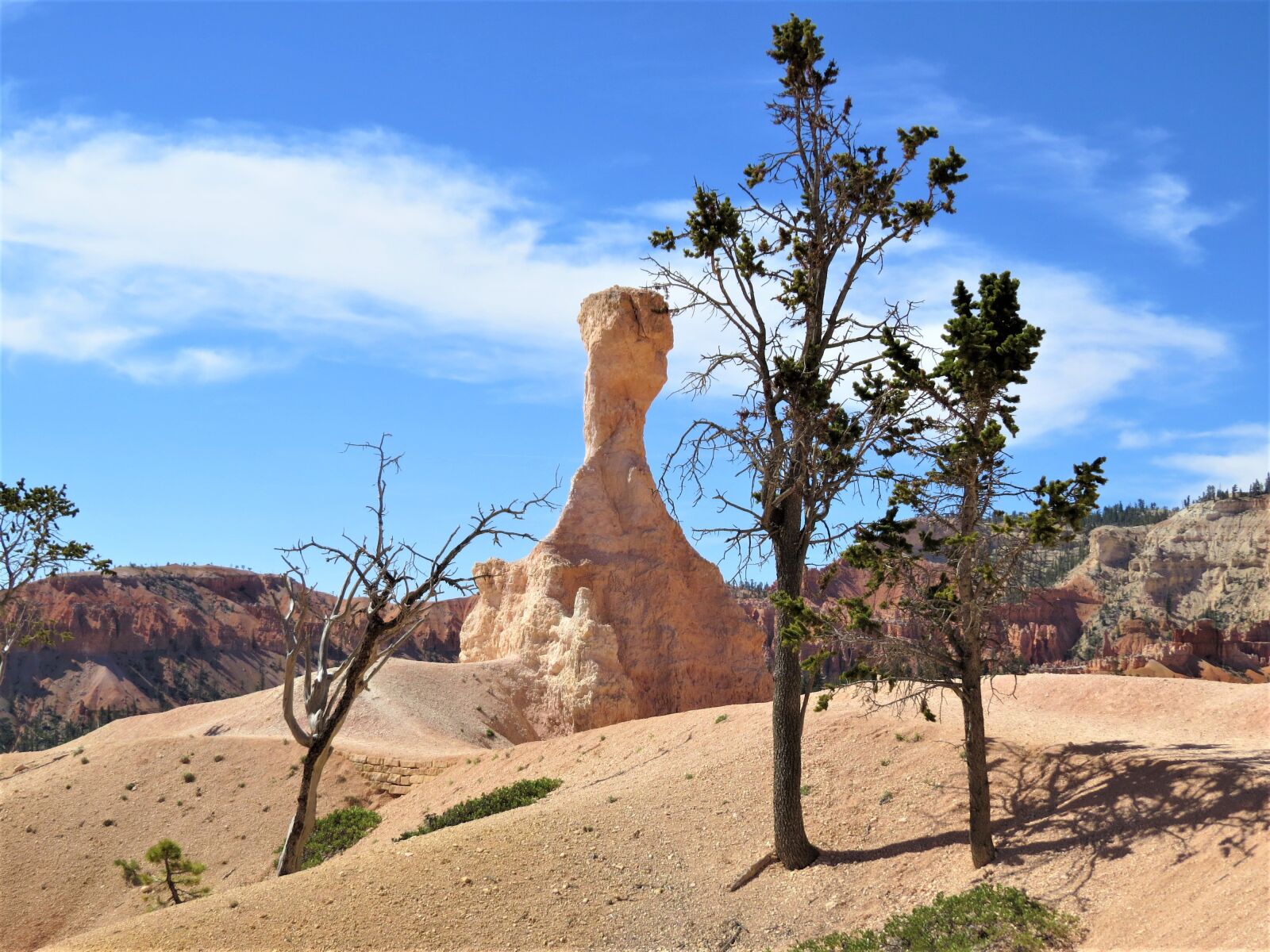 Canon PowerShot SX50 HS sample photo. Bryce canyon, utah, hiking photography