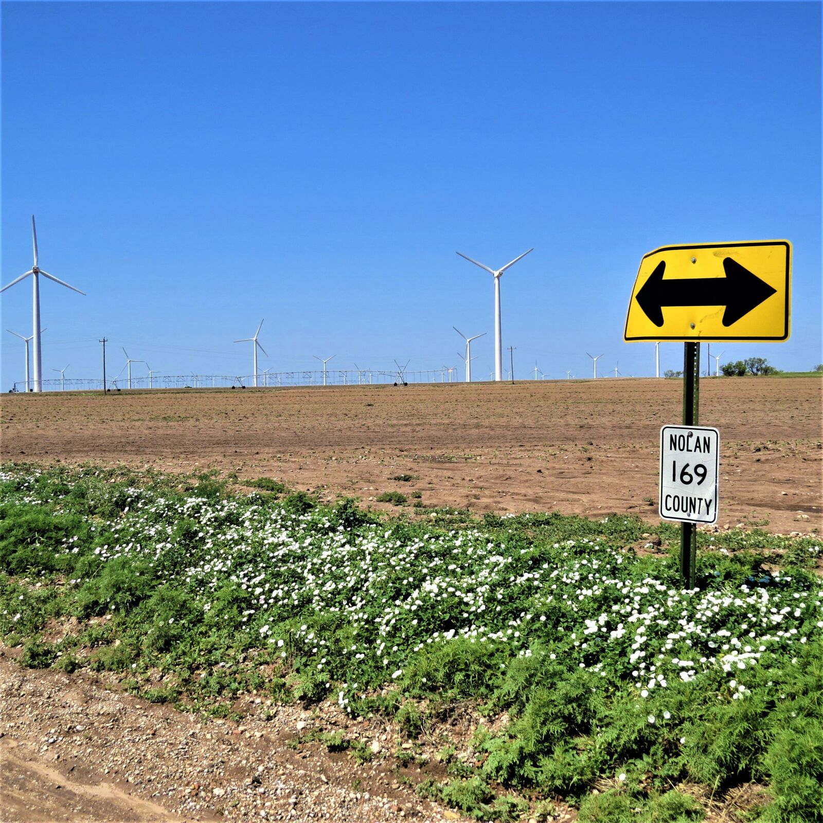 Canon PowerShot SX50 HS sample photo. Modern windmills, blue sky photography
