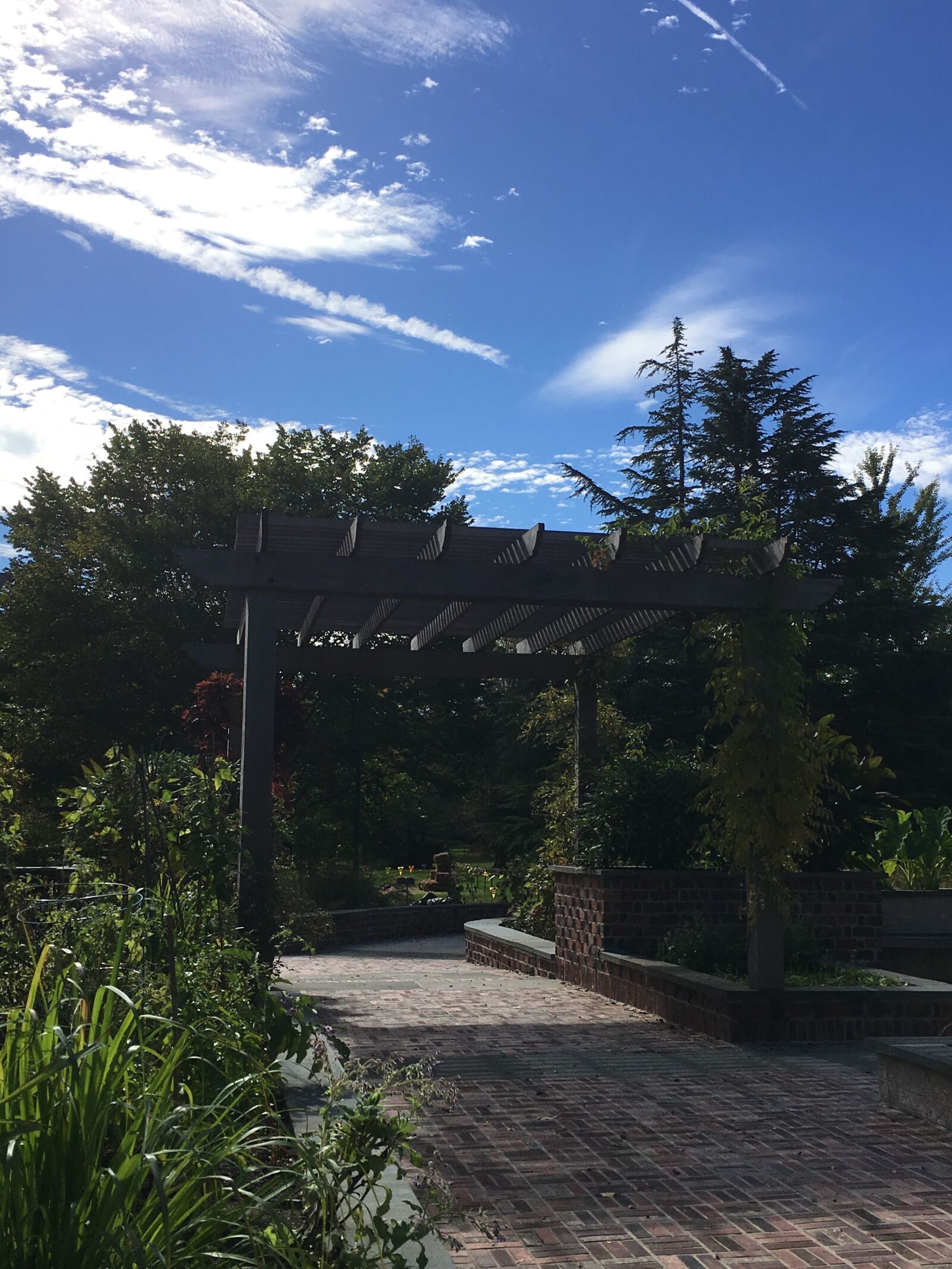 iPhone 6s back camera 4.15mm f/2.2 sample photo. Blue, sky photography