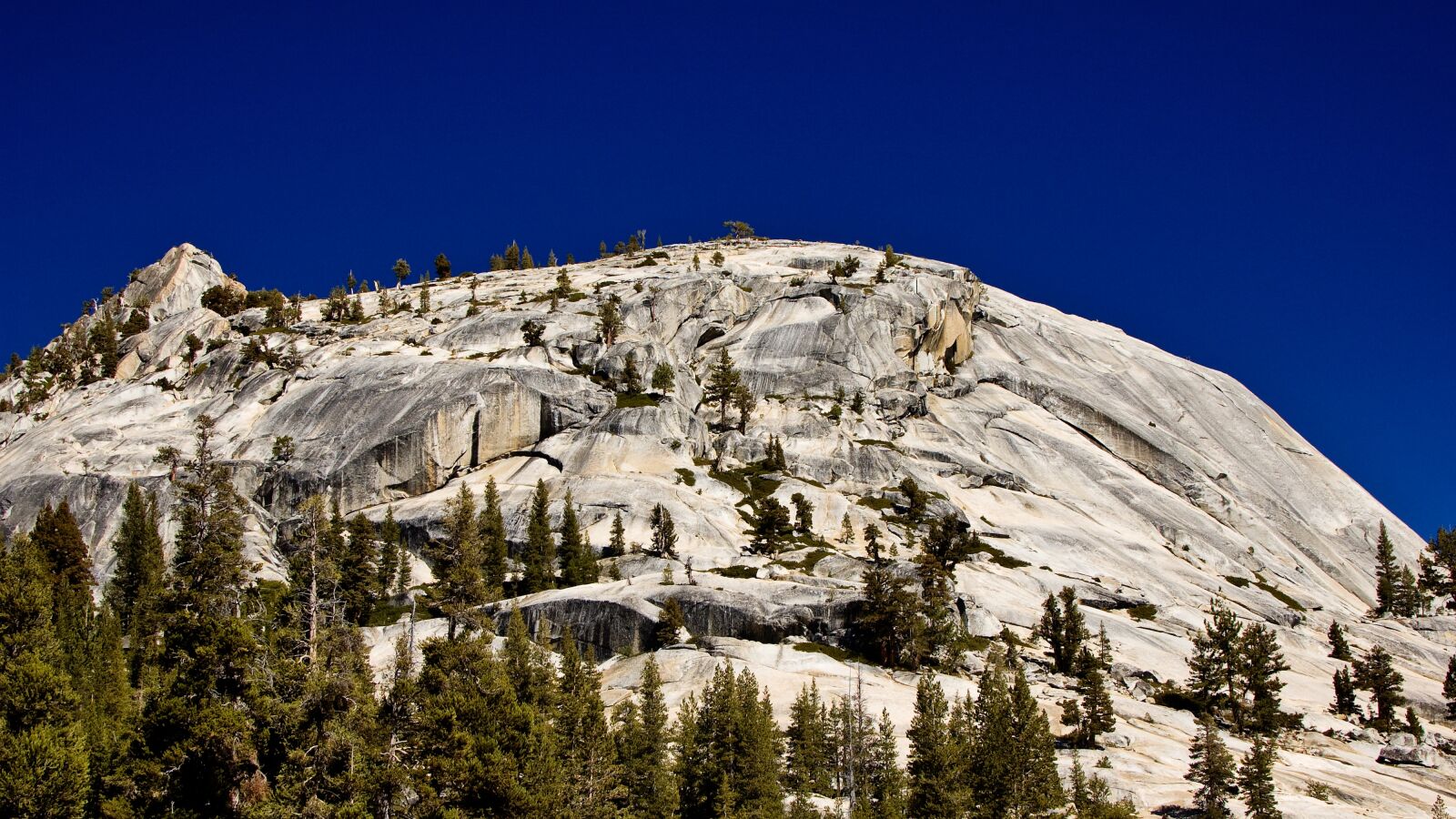 Nikon D50 sample photo. Yosemite, national park, california photography