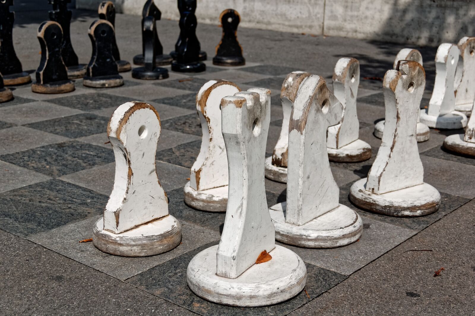 Nikon D50 sample photo. Chess, figures, large photography