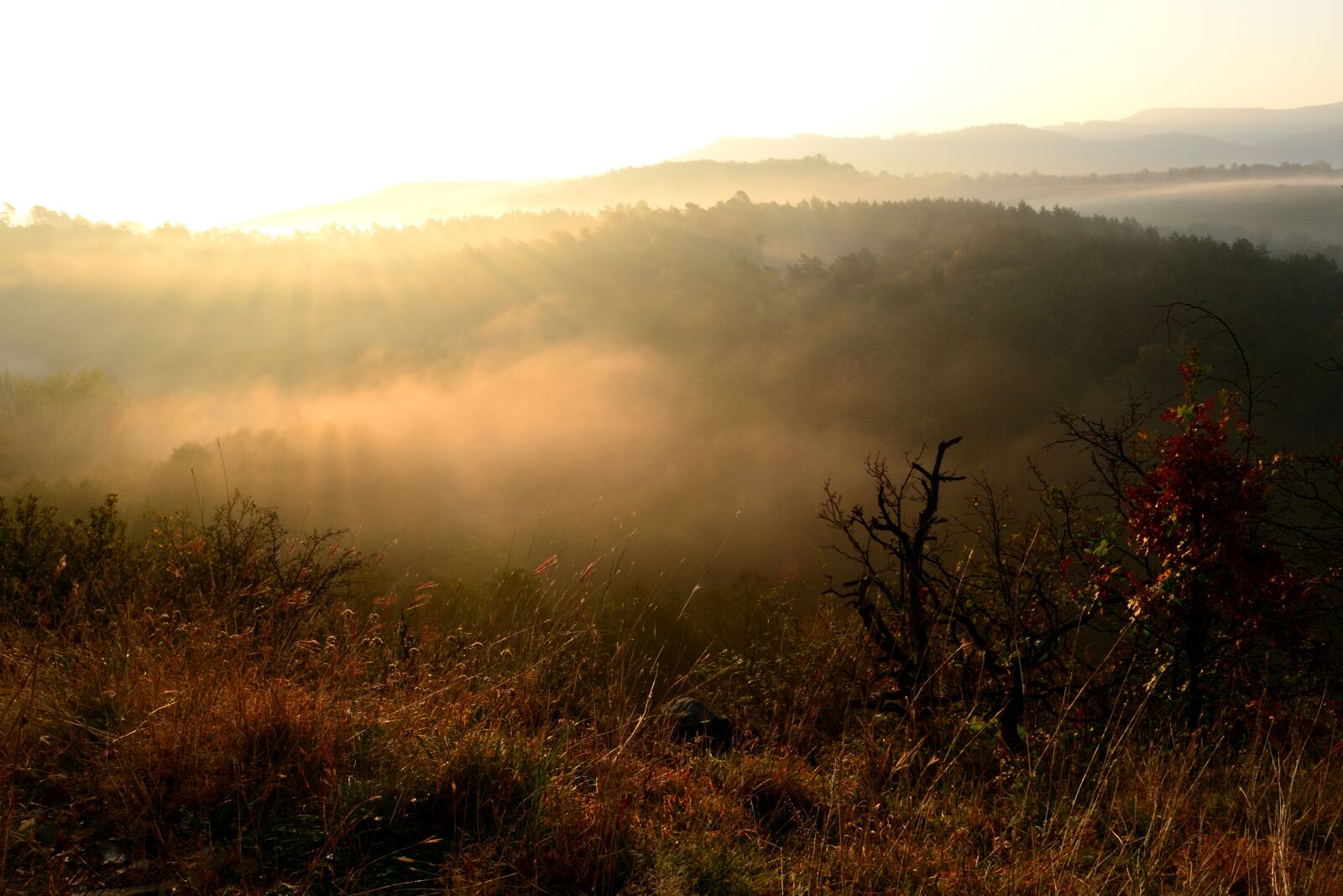 Nikon D3100 sample photo. Sunrise, autumn, nature photography