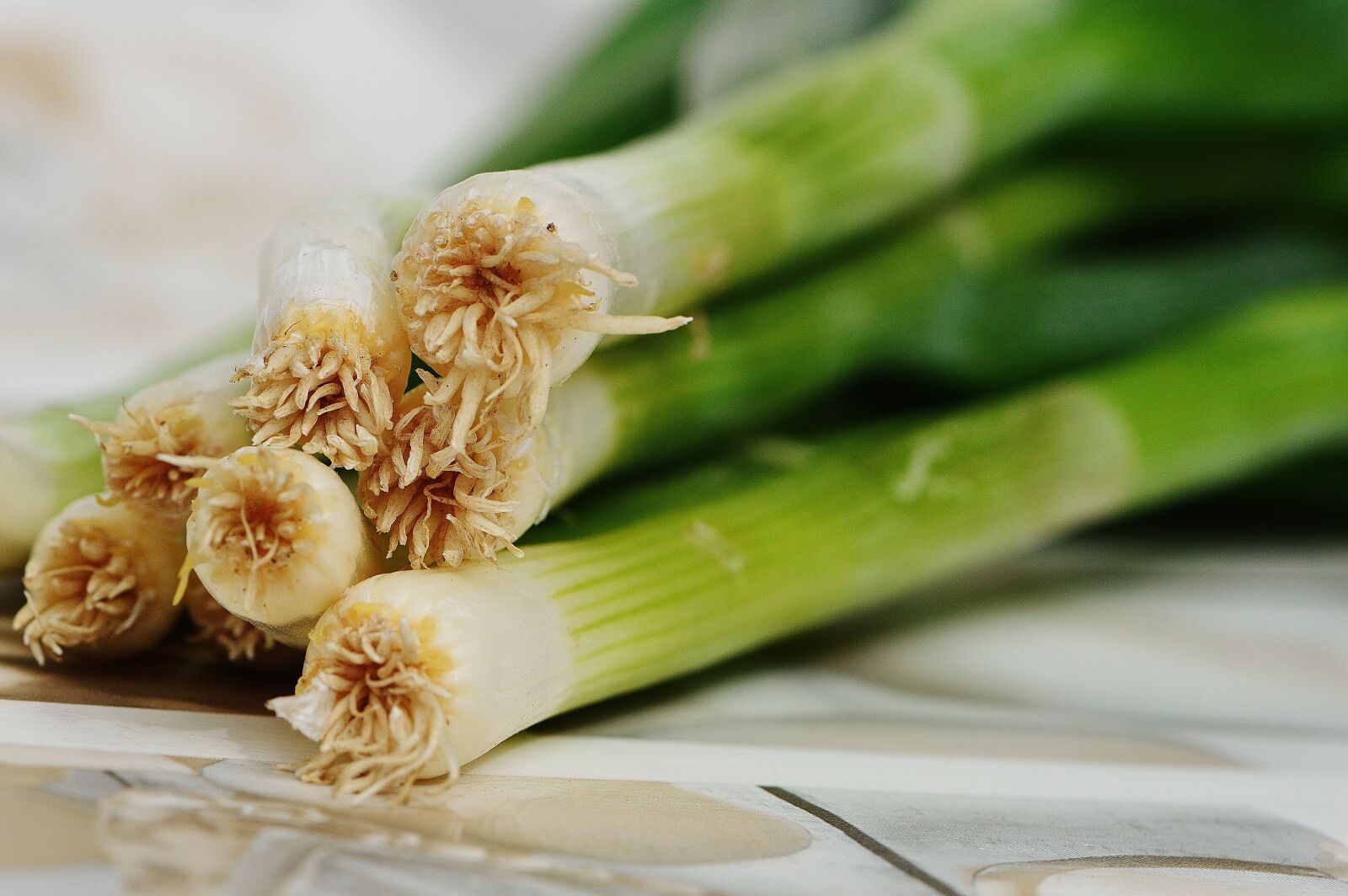 Nikon D3200 sample photo. Spring onions, leek, delicious photography